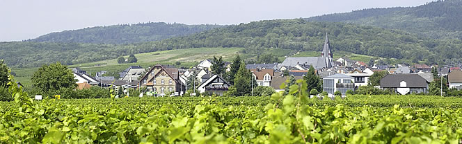 Hallgarten im Rheingau