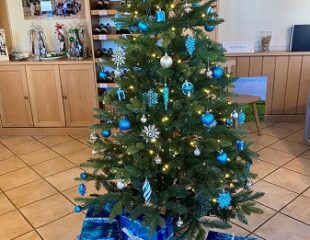 Weihnachtsangebot – gültig bis 31. Dezember 2025